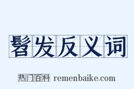 髫发反义词是什么意思的图片